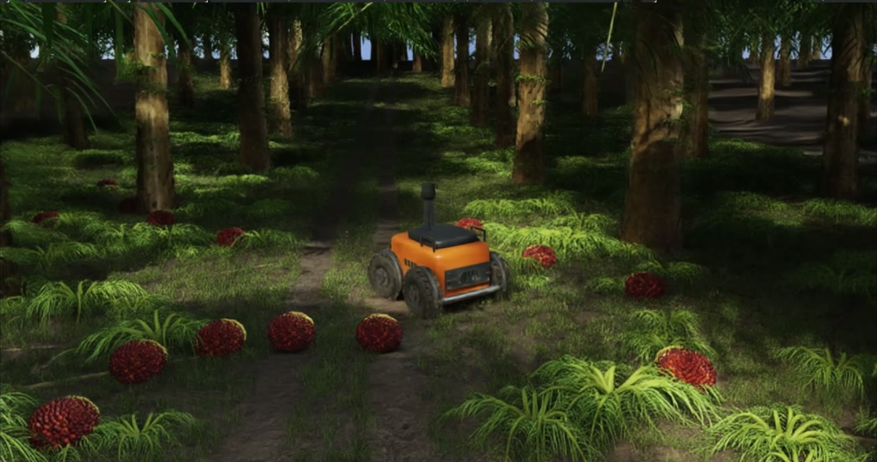 Survey rover in an oil palm plantation